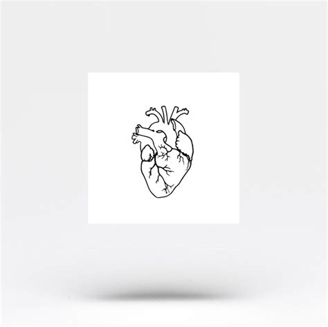 Fine Line Style Anatomical Heart Outline Temporary Tattoo Set Of Three