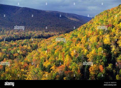 Fall Colors At Cape Breton Hi Res Stock Photography And Images Alamy