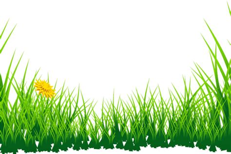Lawn Clipart Jungle Grass Png Download Full Size