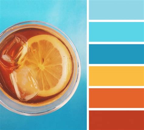 Orange And Teal Color Scheme Summer Color Palette