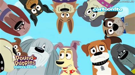 Pound Puppies Ita Stagione 1 Episodio 1 Yipper Il Randagio Youtube