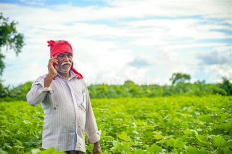 Indian Farmer Talking On Mobile Phone At Agriculture Field Stock Image