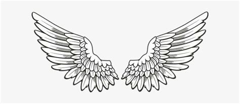 Angel Wings Drawing Tattoo Wings Drawing Angel Wing Drawing Tattoo