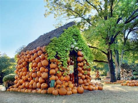 Celebrate Fall With A Nashville Tradition At Cheekwood Estate