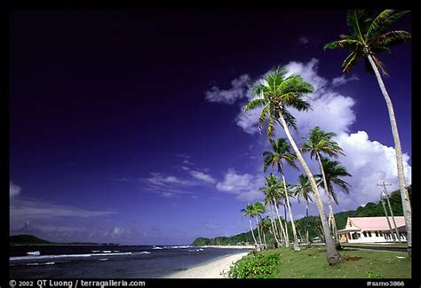 Picturephoto Palm Lined Beach In Village Of Auasi Tutuila American