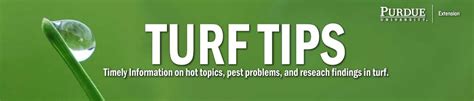 Turf Tips Purdue University Turfgrass Science At Purdue University
