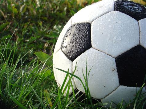 Free photo: Soccer, Football, Sport, Ball, Game - Free Image on Pixabay ...