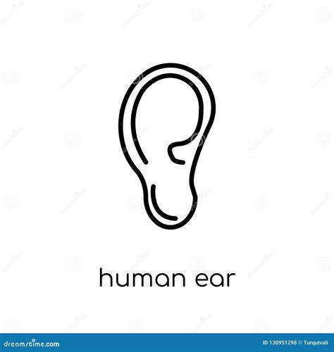 Human Ear Icon Trendy Modern Flat Linear Vector Human Ear Icon Stock