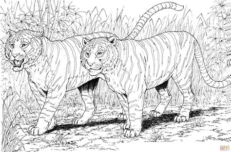 Two Tigers Coloring Page Free Printable Coloring Pages