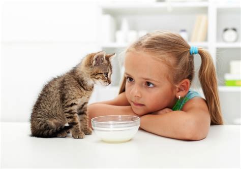 7 Of The Most Kid Friendly Cat Breeds