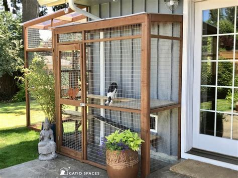 8 Catio Building Mistakes To Avoid Catio Spaces