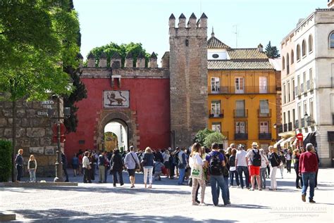 Casas tropicais andaluzia laranjeiras sevilha lugares maravilhosos sonhos natureza jardins papel. SEVILHA | Visitar a cidade de Espanha que deu novos mundos ...