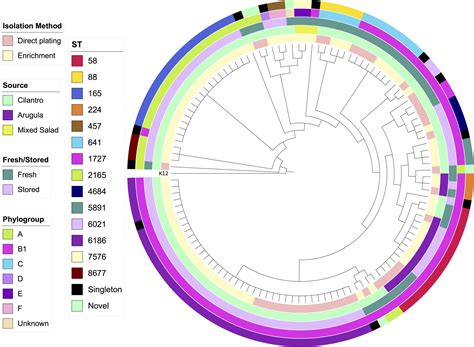 Frontiers Whole Genome Sequencing Of Escherichia Coli From Store