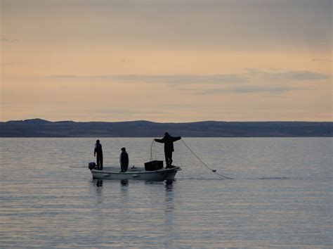 Fishing At Dusk Photo