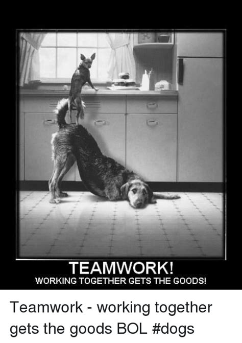 Dogs Memes And 🤖 Teamwork Working Together Gets The Goods Teamwork