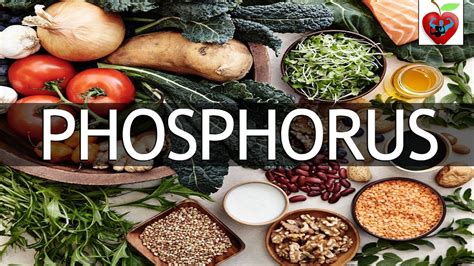 Top 10 Foods High In Phosphorus Health Tips Daily Life Youtube