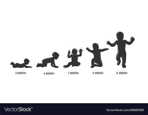 Baby Development Icon Child Growth Stages Vector Image