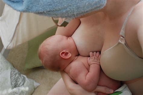 Adult Breastfeeding XXXPicz