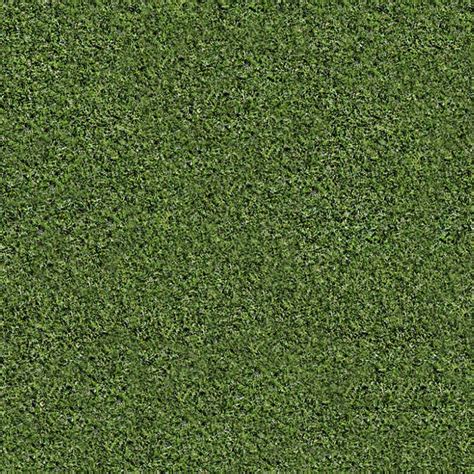 Green Grass Texture Seamless 12998