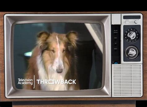 Nationaldogday Lassie Visits The Emmys Its Nationaldogday And
