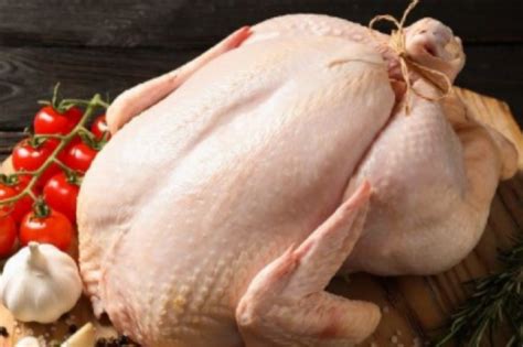 7kg fresh frozen turkey jamies meat inn