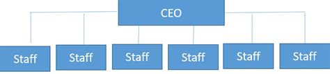 Flat Organizational Structure Cio Wiki