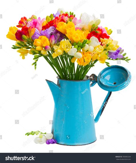 Fresh Freesia Flowers Blue Pot Isolated Stock Photo 390083269