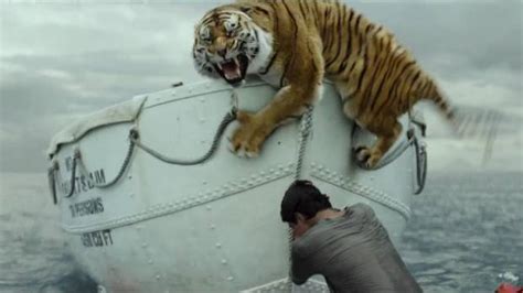 Life Of Pi Tiger Trainer Michael Hackenberger Charged With Animal