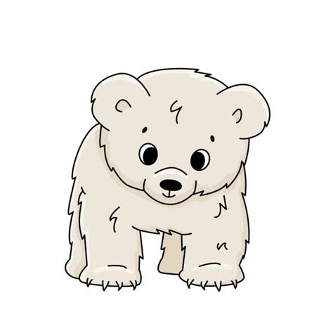 Cute Polar Bear Cub Illustrations Royalty Free Vector Graphics And Clip