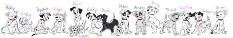dalmatians  puppies names google search puppy names dalmatian puppies