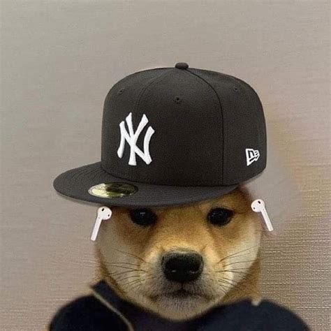 Funny Dog With New York Yankees Hat