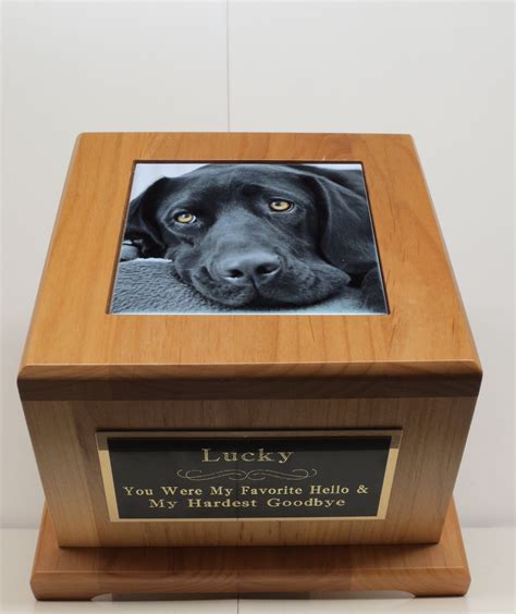 Xl Dog Urn Pet Urn Memorial Keepsake Cremation Urn Great Dane Etsy