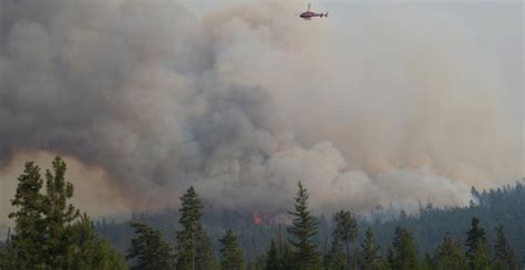 Over 300000 Hectares Burned Bc Wildfires By The Numbers News