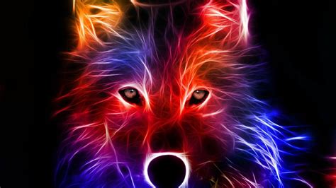 Colorful Dog Wallpapers Top Free Colorful Dog Backgrounds