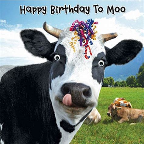 Funny Cow And Streamers Birthday Card Happy Birthday To Moo