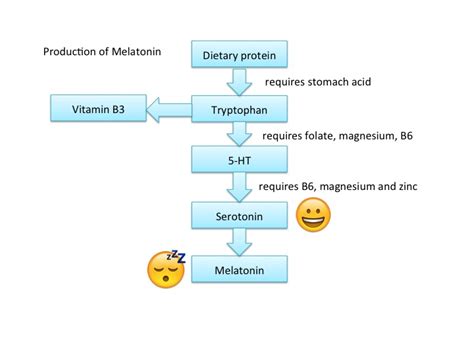 Melatonin And Cancer How We Make It And How It Helps CALMERme