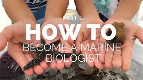 How To Become A Marine Biologist Part 5 Youtube