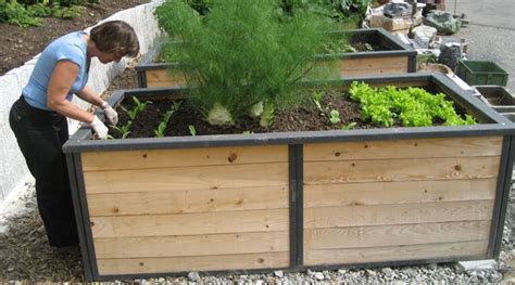 Il est facile d'aménager soi-même un potager en hauteur. En suivant nos