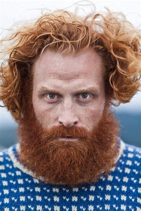 Ginger Men Ginger Beard Red Beard Wild Ginger Ginger Hair Photo Portrait Portrait