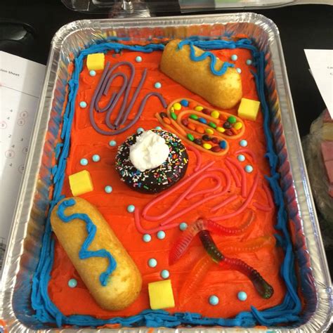 Animal Cell Edible Model Ideas Molly Maloy On Instagram We Made