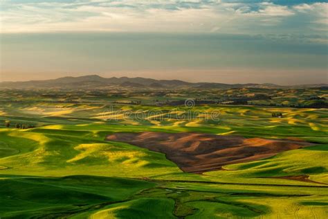 Sunshine Over Crop Fields In Palouse Hills Stock Photo Image Of