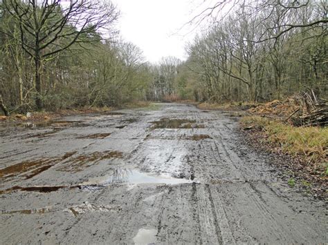 Old Military Roadway At Hardwick © Adrian S Pye Geograph Britain
