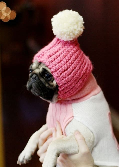 Pin By Natalie Brandmueller On Cute Puppy Hats Cute Animals Dog Hat