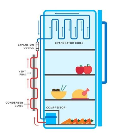 Working Principle Of Refrigerator How Does It Work