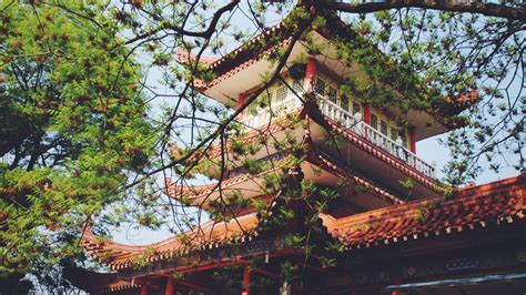 The Ultimate Guide To Visiting The Iconic Summer Palace In China