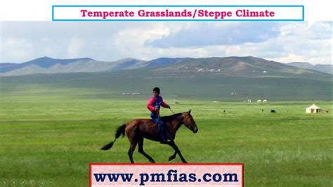 C27 Steppe Climate Temperate Continental Climate Temperate Grassland Climate Prairies Youtube