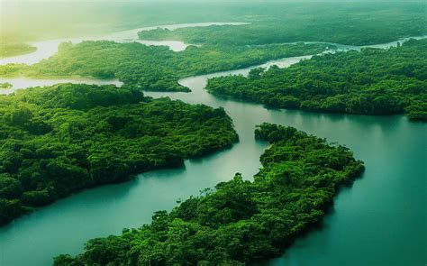 ESG | Support | LG Information Display