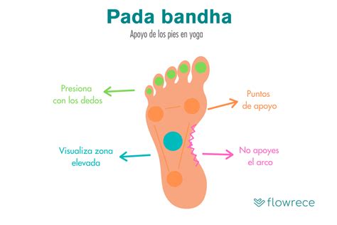 Pada Bandha: la base de la postura en yoga – Flowrece