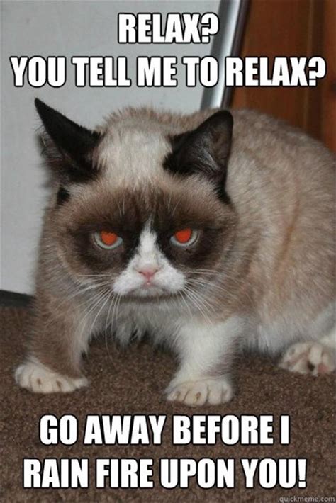Grumpy Cat Funny Pictures Dump A Day