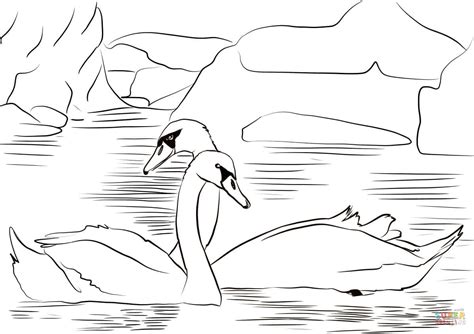 Two Swans Coloring Page Free Printable Coloring Pages